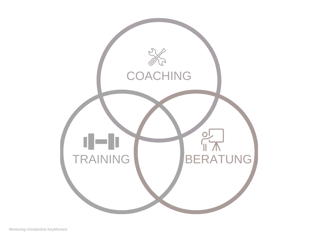 Mentoring besteht aus Coaching, Training und Beratung